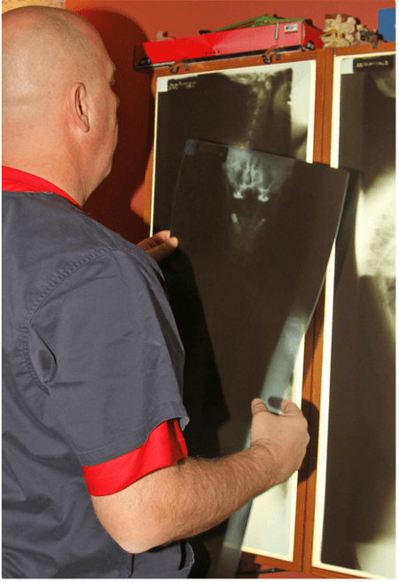 The chiropractor will carefully review your X-Rays and discuss his findings with you.